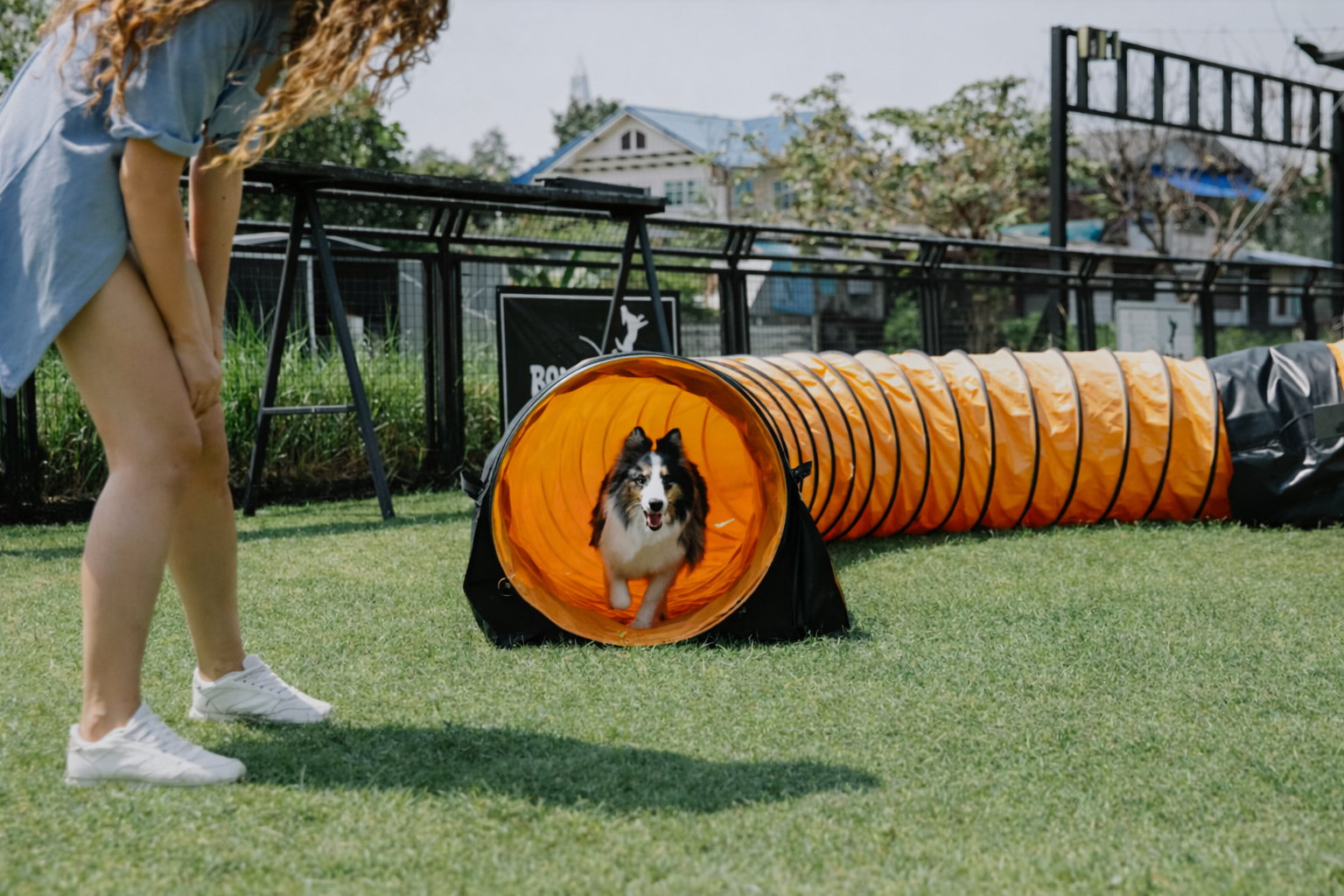 Pet Place